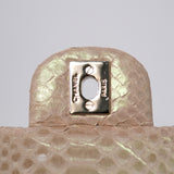 Chanel Double Flap Medium Iridescent Python GHW