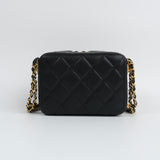 Chanel Caviar Camera Bag - (MICROCHIP)