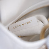 HOLD | Lady Dior Mini Himalayan Lizard Touch