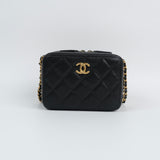 Chanel Caviar Camera Bag - (MICROCHIP)