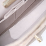 Chanel Double Flap Medium Iridescent Python GHW