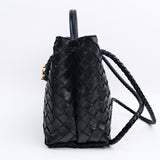 HOLD/ Bottega Veneta Andiamo Small Black