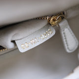 Lady Dior Mini Ostrich
