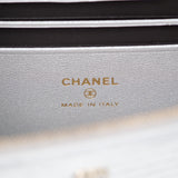 Chanel Slim Long Vanity Silver Metallic Lizard Embossed GHW
