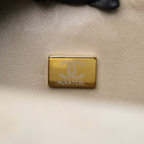 Chanel Double Flap Medium Dark Beige GHW - (MICROCHIP)