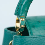 Louis Vuitton Cappucine Ostrich Green