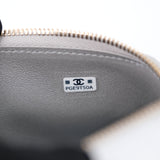 Chanel Slim Long Vanity Silver Metallic Lizard Embossed GHW