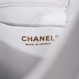 Chanel 2 Way Hobo Tote Bag GHW - (MICROCHIP)
