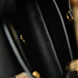 Louis Vuitton Capucine BB Black Limited Edition