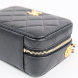 Chanel Caviar Camera Bag - (MICROCHIP)