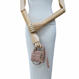 Dior Micro Lady D Rose Des Vents