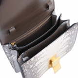Celine Box Bag Mini Himalayan Lizard