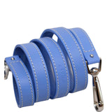 Goyard Belharra PM Iris Tote