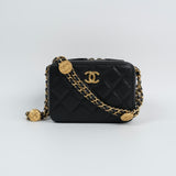 Chanel Caviar Camera Bag - (MICROCHIP)