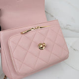 Chanel Pink Business Affinity