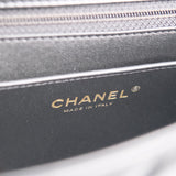 Chanel Small Flap Top Handle AGHW 2024 - (MICROCHIP)