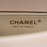 Chanel Chevron Le Boy Dark Beige LGHW - (MICROCHIP)