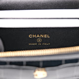 Chanel Slim Vanity Croc Black GHW
