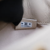 Chanel 25s Coco Crush Top Handle Bag - (BRANDNEW)