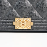 Chanel Leboy Wallet on Chain (WOC)  -s29