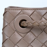 Bottega Veneta Andiamo Small Pinecone