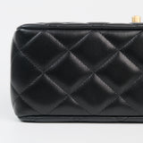 Chanel Small Flap Top Handle AGHW 2024 - (MICROCHIP)