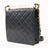 Chanel Seasonal Flap with Clear Pearls