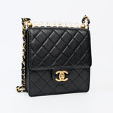 Chanel Seasonal Flap with Clear Pearls