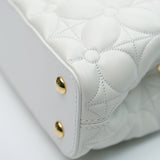 Louis Vuitton East-West Mini Capucine Optical White - GHW