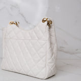 Chanel 23 Crossbody Hobo - (MICROCHIP)