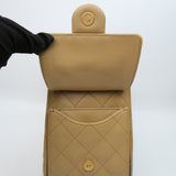 HOLD | Chanel 25 Small Dark Beige GHW - (MICROCHIP)