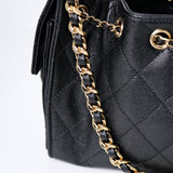 Chanel 25 Mini Black Caviar