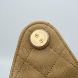 HOLD | Chanel 25 Small Dark Beige GHW - (MICROCHIP)