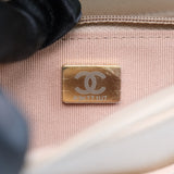 Chanel WOC Seasonal Dark Beige - (MICROCHIP)