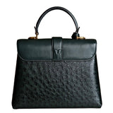 Louis Vuitton Ostrich Rose Des Vents PM