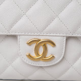 Chanel 23 Crossbody Hobo - (MICROCHIP)