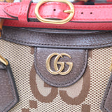 Gucci Mini Diana Giant Monogram