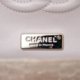 Chanel Double Flap Medium Iridescent Python GHW