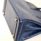 Hermes Birkin 30 Ostrich - T