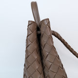 Bottega Veneta Andiamo Small Pinecone