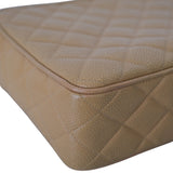 Chanel Camera Bag Dark Beige