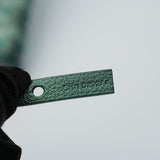Goyard Iridescent Saint Louis PM Pearly Green - (BRANDNEW)