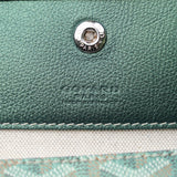 Goyard Iridescent Saint Louis PM Pearly Green - (BRANDNEW)