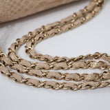 Chanel Double Flap Medium Iridescent Python GHW