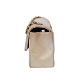 Chanel Mini Rectangle Iridescent GHW - (MICROCHIP)