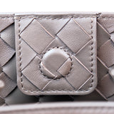 Bottega Veneta Andiamo Small Pinecone