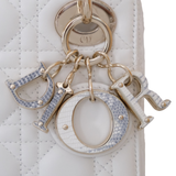 HOLD | Lady Dior Mini Himalayan Lizard Touch