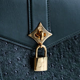Louis Vuitton Ostrich Rose Des Vents PM